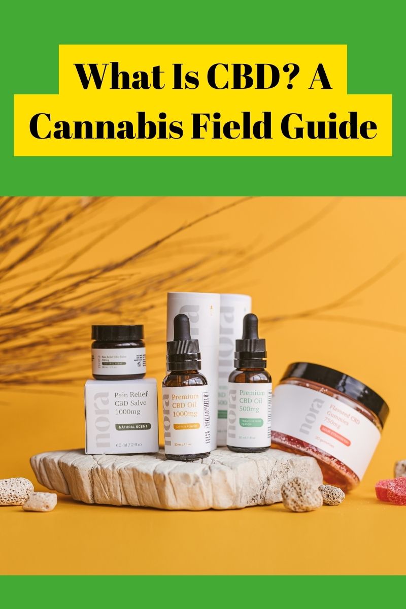 What is CBD? A cannabis field guide
