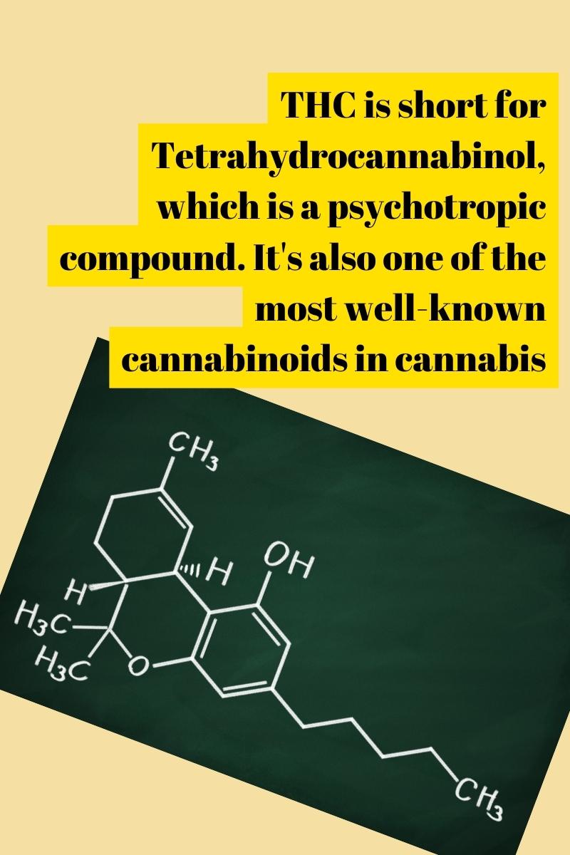 THC is short for Tetrahydrocannabinol, which is a psychotropic compound. It's also one of the most well-known cannabinoids in cannabis