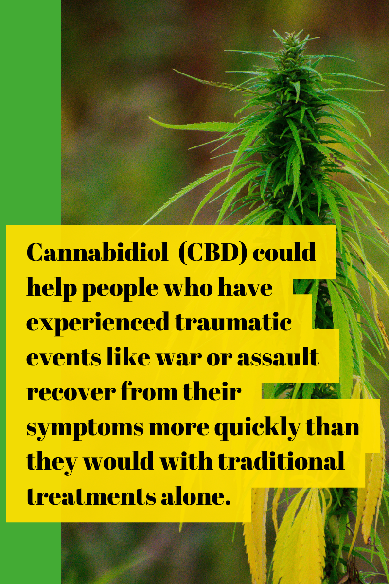 Cannabidiol (CBD) could help people who have experienced traumatic events like war or assault recover from their symptoms more quickly than they would with traditional treatments alone.