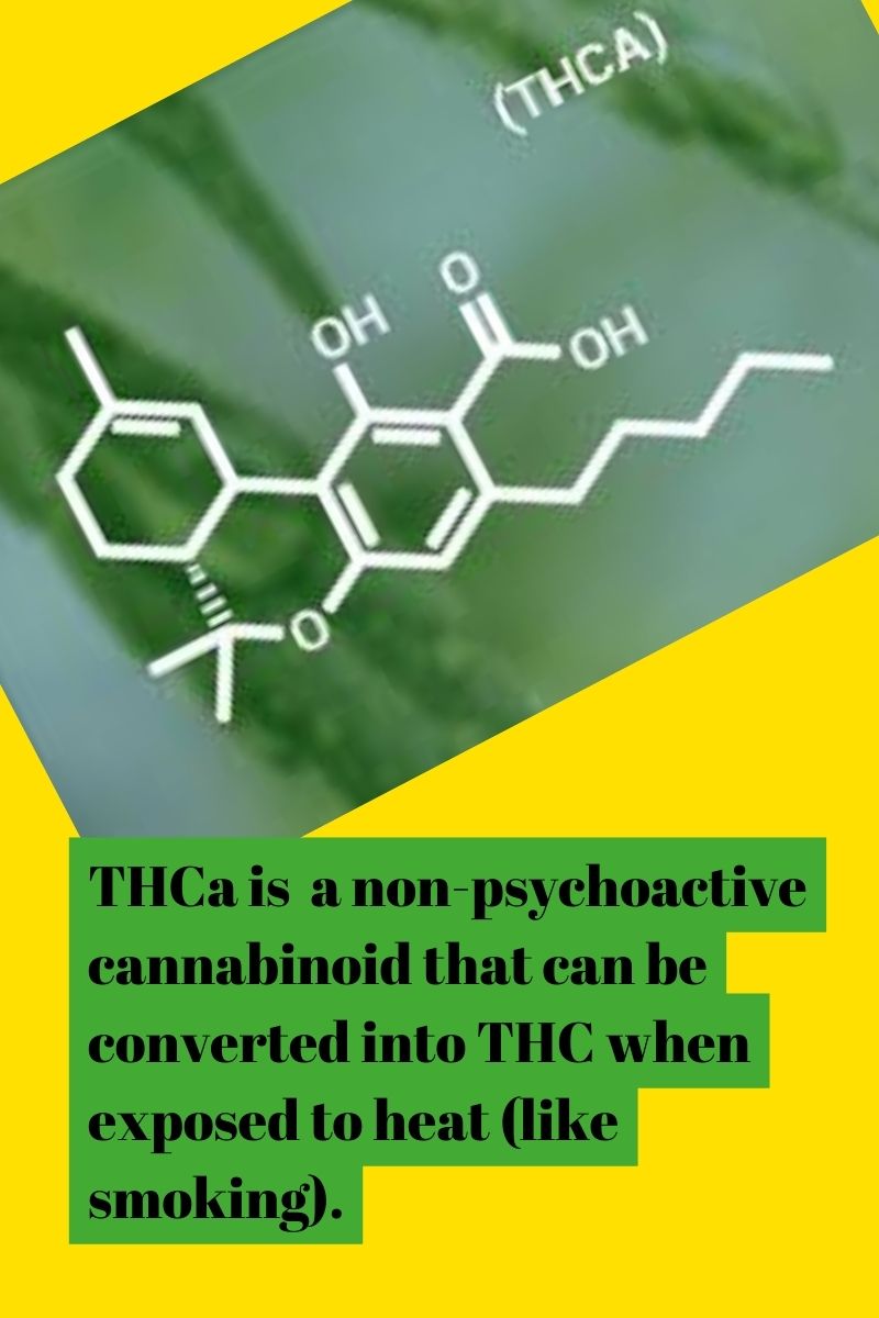 THCa is a non-psychoactive cannabinoid that can be converted into THC when exposed to heat (like smoking).