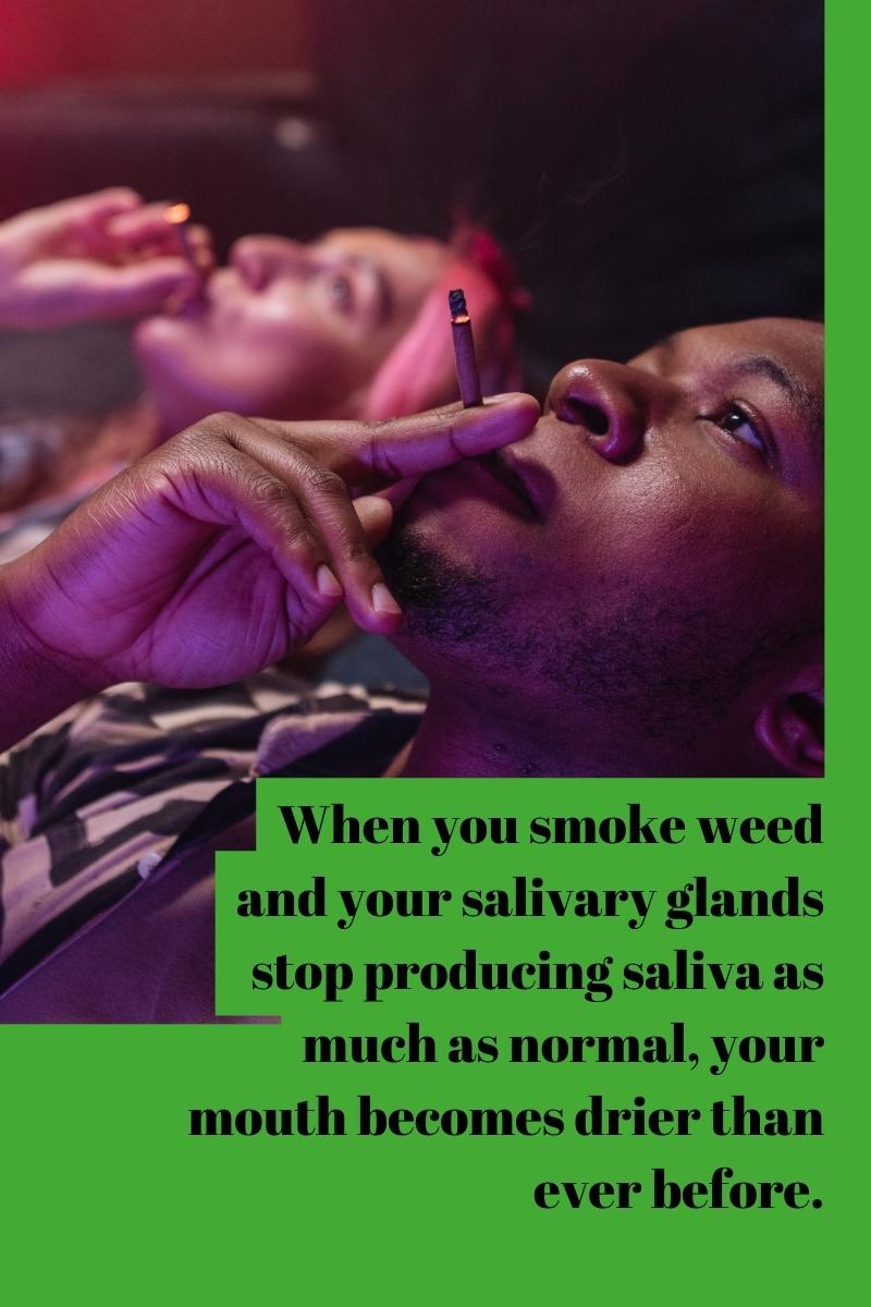 When you smoke weed and your salivary glands stop producing saliva as much as normal, your mouth becomes drier than ever before.