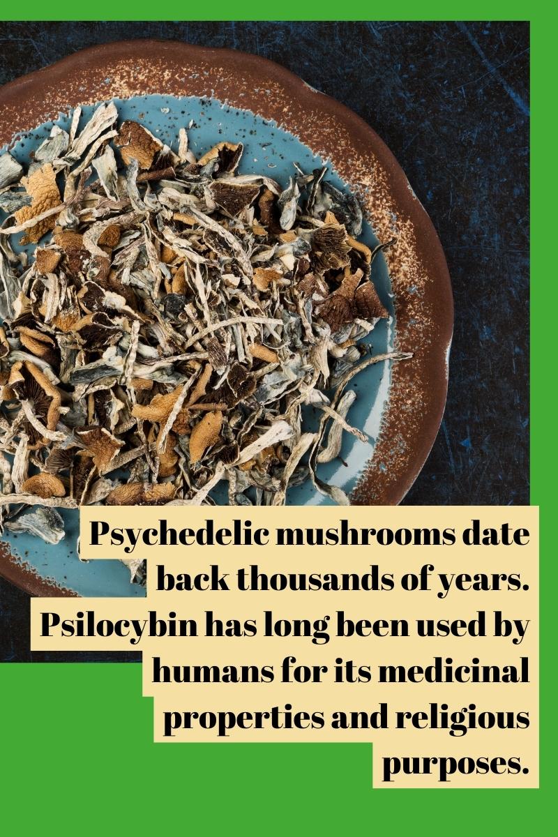 Psychedelic mushrooms date back thousands of years. Psilocybin has long been used by humans for its medicinal properties and religious purposes.