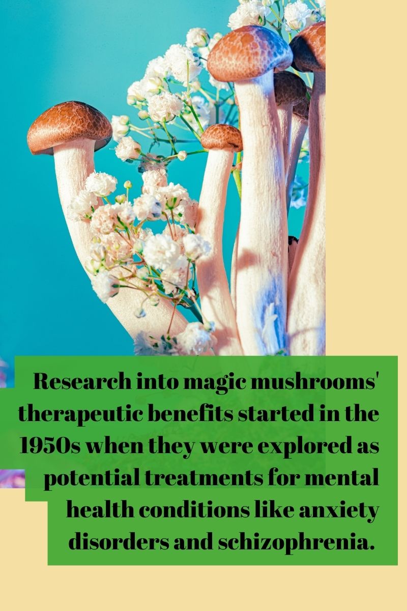 Research into magic mushrooms' therapeutic benefits started in the 1950s when they were explored as potential treatments for mental health conditions like anxiety disorders and schizophrenia
