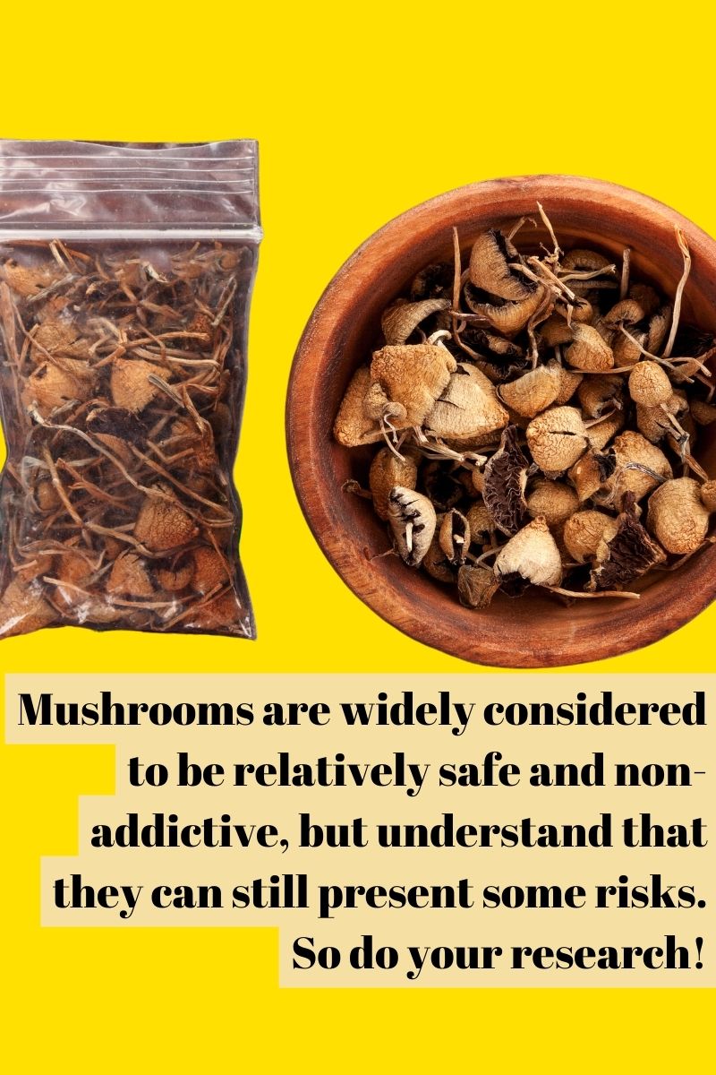 bowl of mushrooms and bag of mushrooms 
