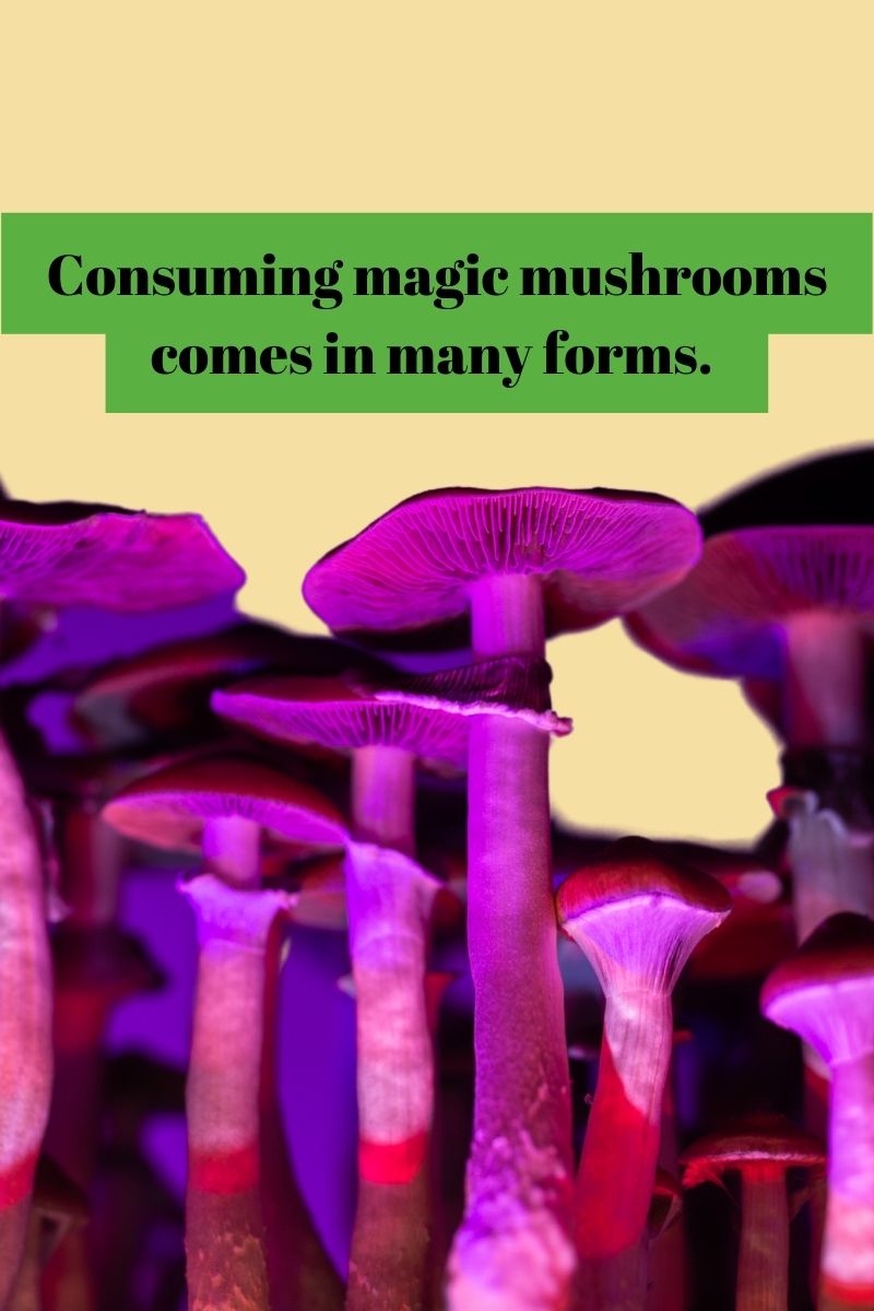 Magic mushrooms come in many forms with purple mushrooms