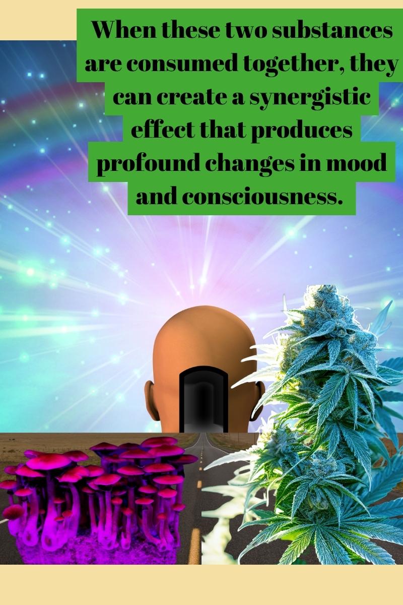 When these two substances are consumed together, they can create a synergistic effect that produces profound changes in mood and consciousness. 