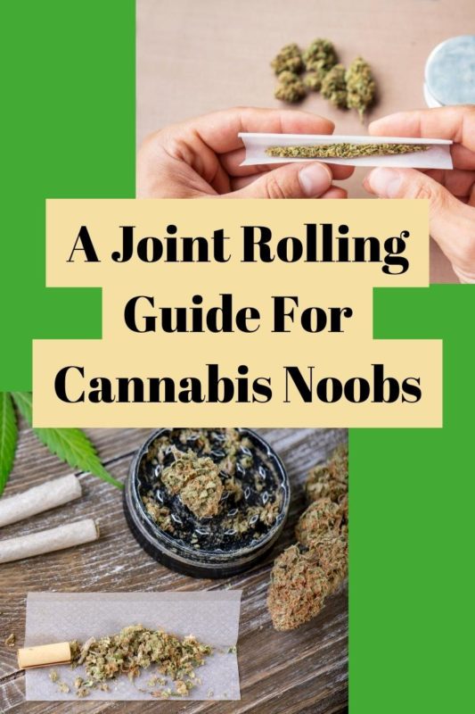 A Joint Rolling Guide For Cannabis Noobs