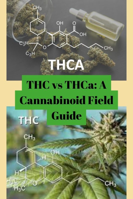 THC vs THCa: A Cannabinoid Field Guide