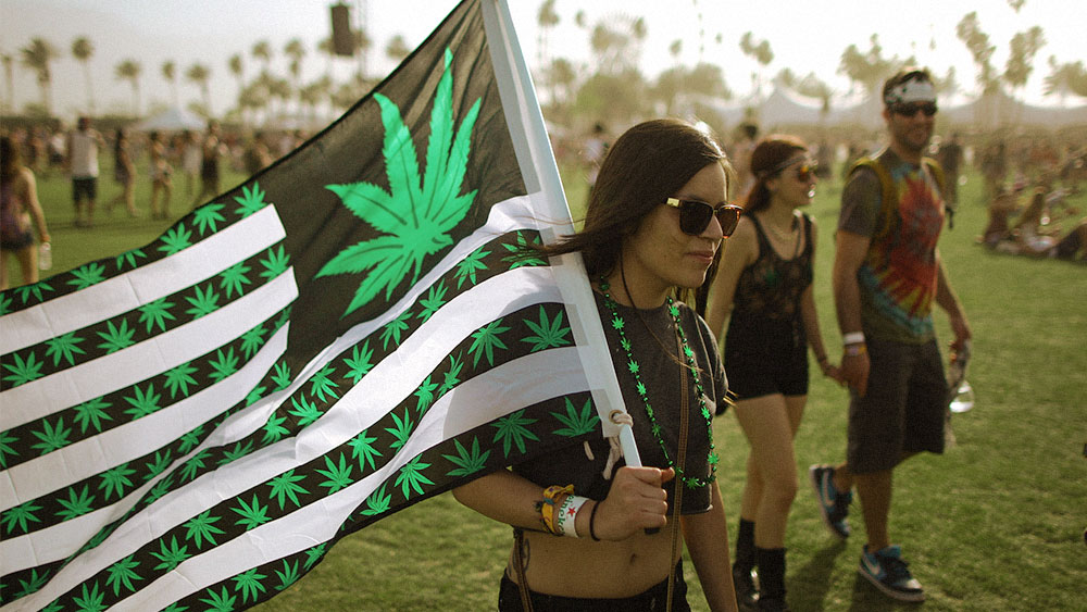 Brunette Millennial girl holding a weed flag wearing glasses and a black crop top