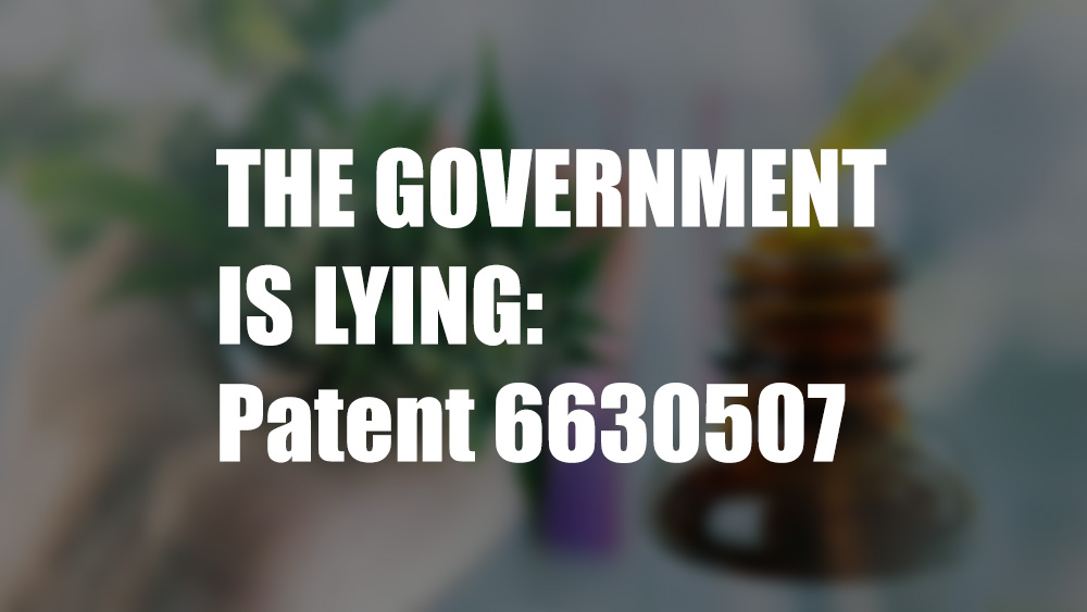 Patent 6630507