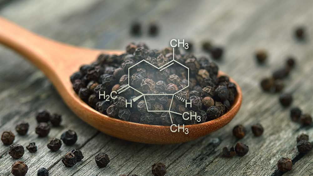 Spoon of black peppercorns with terpene caryophyllene molecule.