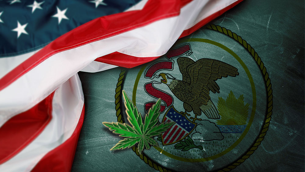 recreational cannabis legal Illinois