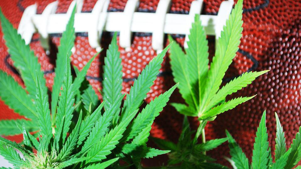 A football surrounded by cannabis leaves