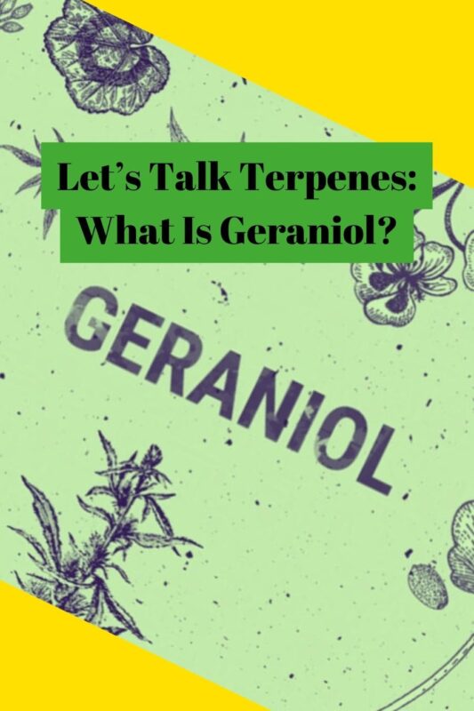 Let’s Talk Terpenes: What Is Geraniol?