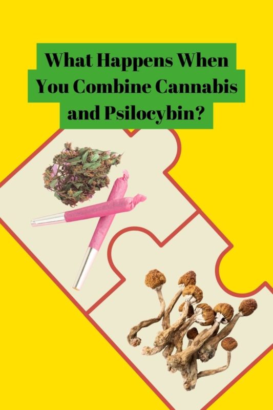 What Happens When You Combine Cannabis and Psilocybin?