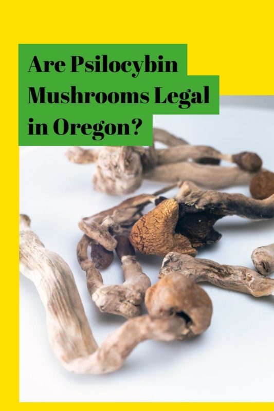 Are Psilocybin Mushrooms Legal in Oregon?