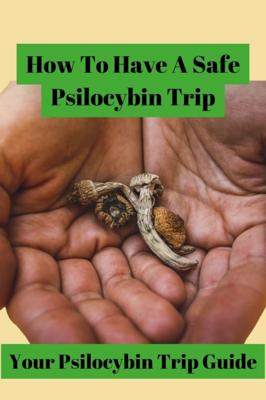 how to have a safe psilocybin trip written over a photo of hands holding mushrooms
