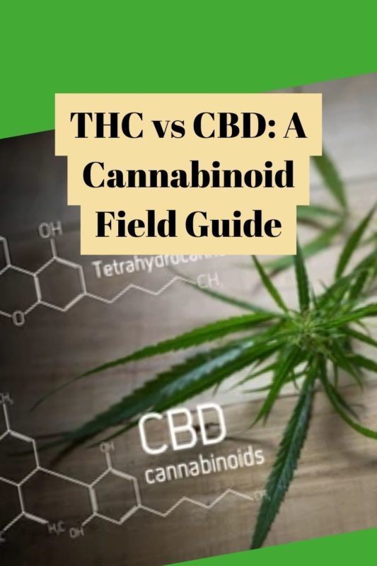 THC vs CBD A Cannabinoid Field Guide