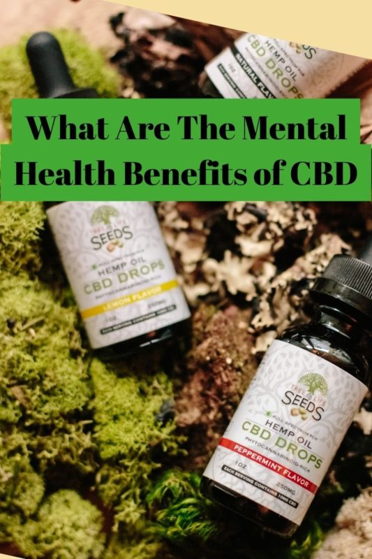 What Are The Mental Health Benefits of CBD